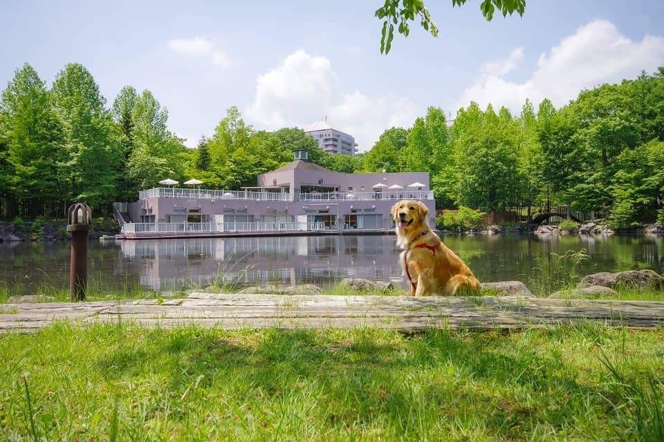 2015年4月にオープンしたわんこ同伴専用のテラス棟