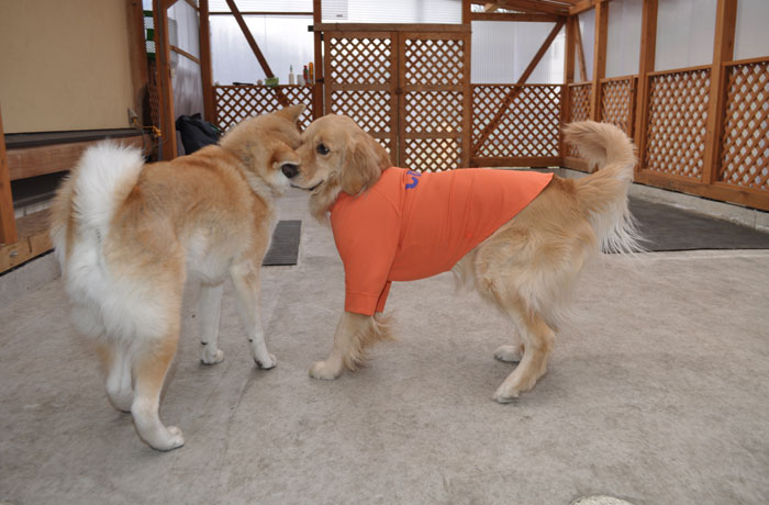 室内運動場もありますよ！