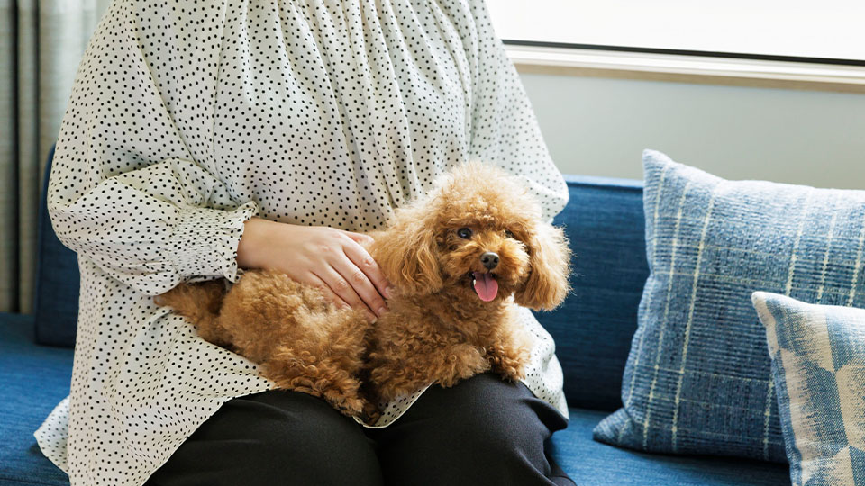 愛犬とホテルを拠点に地域の魅力を満喫する旅を