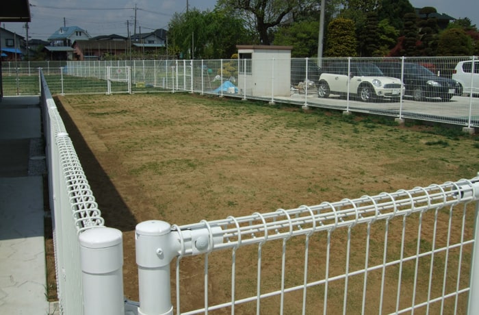 受付棟と室内ドッグランの間にある、芝生のドッグラン。