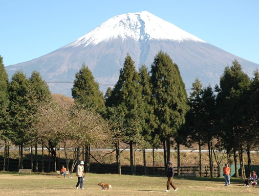 大自然の中でくつろげますよ！