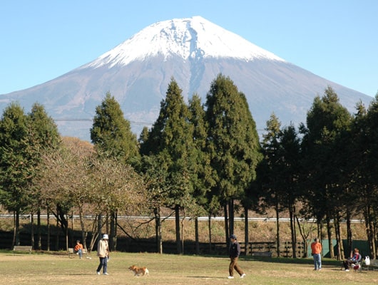 富士山の見える広大なドッグランでリフレッシュ！