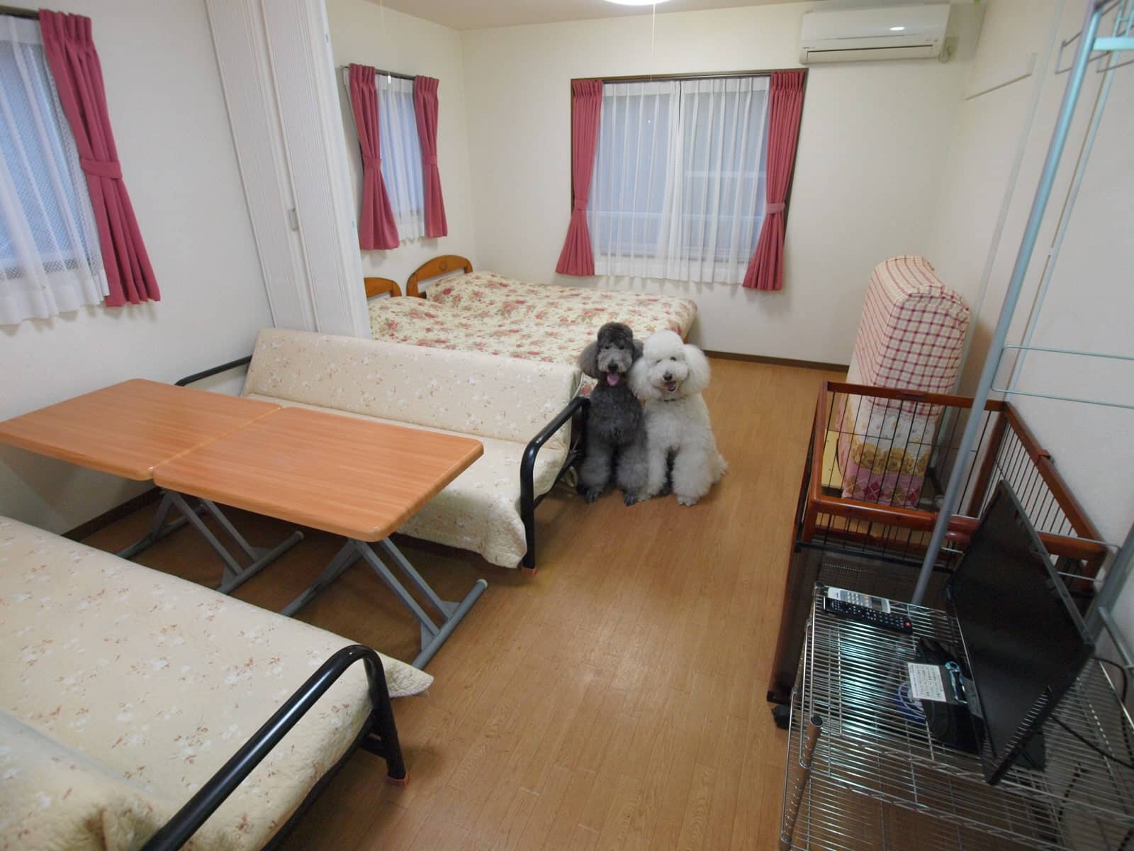 お部屋ではワンちゃんとゆったりお過ごしください。サークルもあるよ。