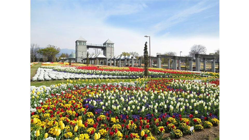 愛犬と一緒に楽しめる花の楽園