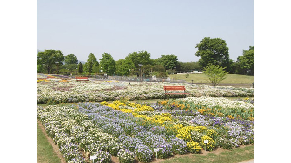 季節毎に模様替えをする“フラトピア大花壇”。
