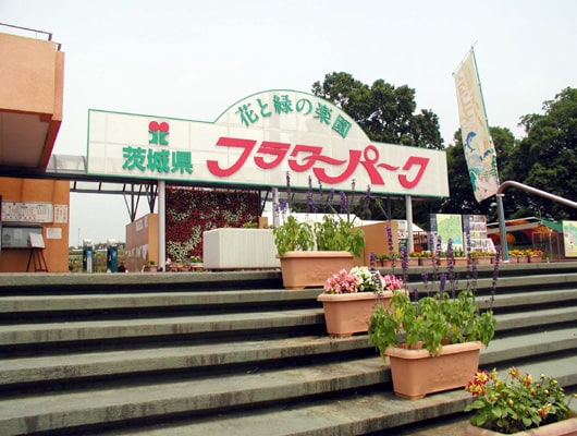 約30haの広大な花と緑の楽園
