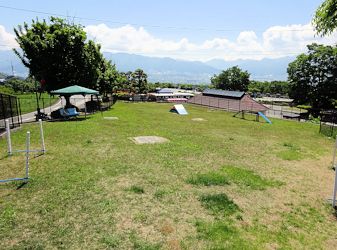 小型用ドッグランも！