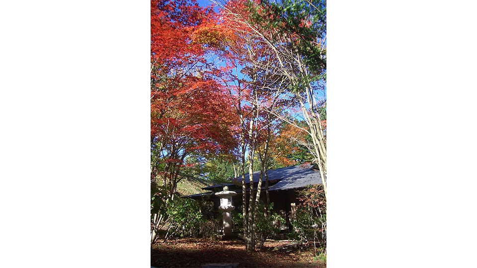 秋は、美しい紅葉が目を楽しませてくれますよ！