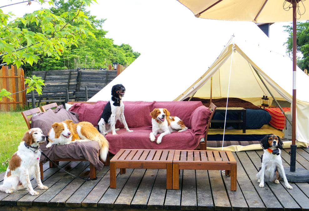 愛犬家グループのオフ会にも最適。この日はわんこが主役です