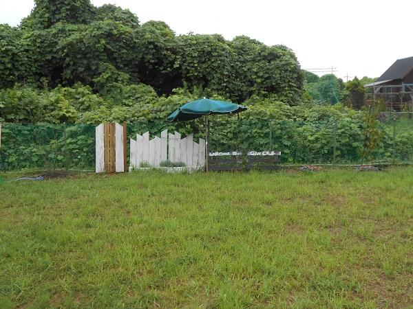 サイト内は全面ドッグランだから、わんこも自由に過ごせます