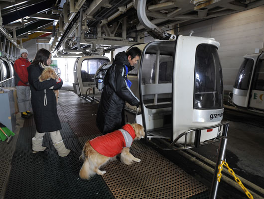 乗車する際は、わんこの足元に気をつけましょう。