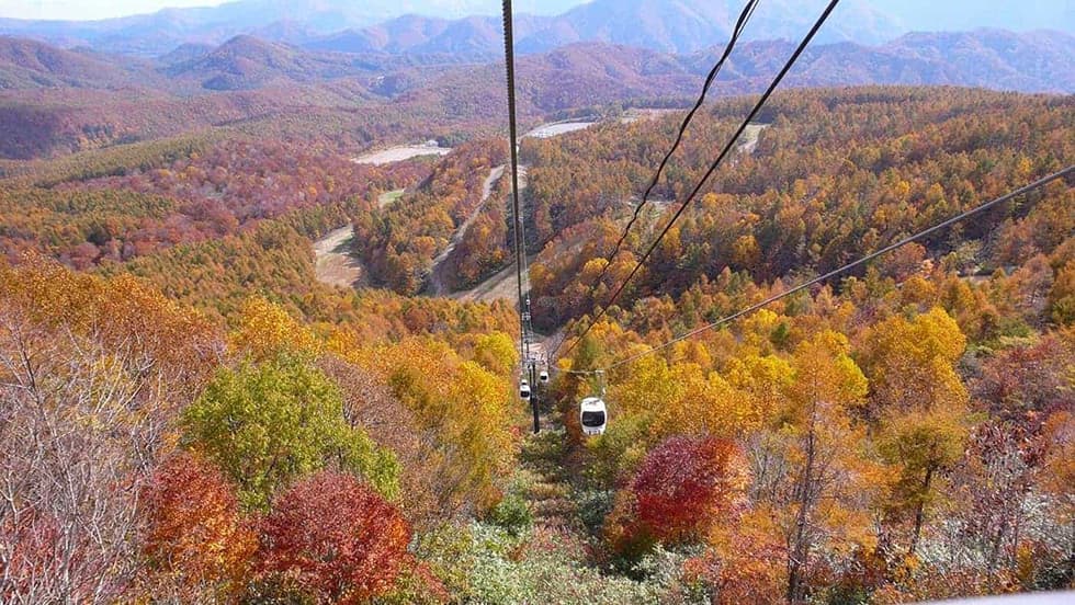 秋は、色とりどりの景色を眺めることができます。