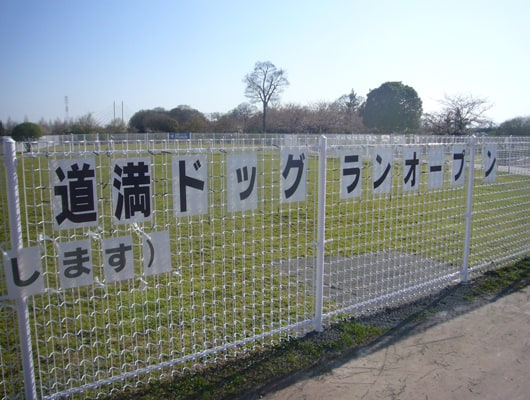 芝生のドッグランで、わんこ友達とたくさん遊ぼう！