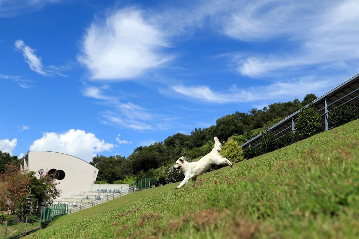 駆け回りの広場