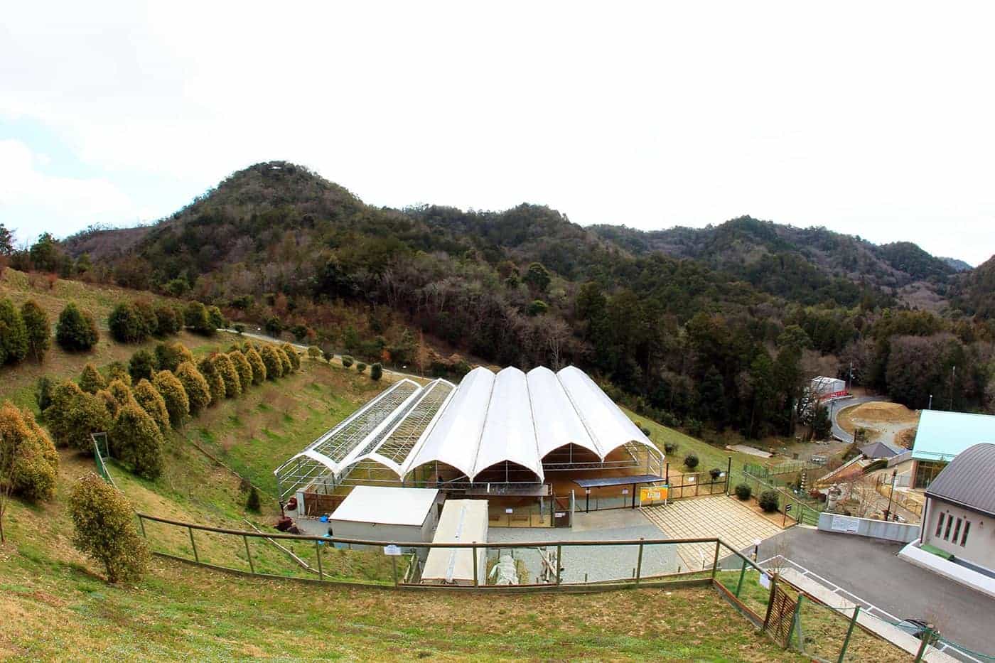 天候にかかわらず、思い切り走り回れる全天候型ドーム