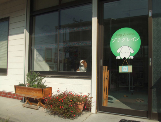 わんこのアロマテラピー専門店。アロマオイルでわんこに癒しを！