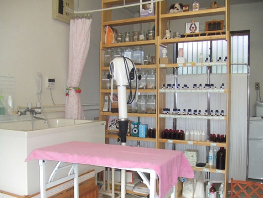 清潔感あふれる店内。