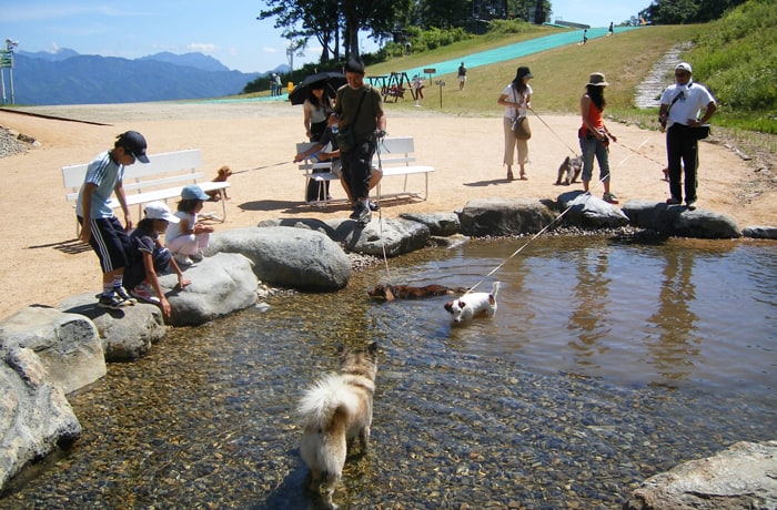 ドッグランの近くには、水遊びエリアもあります。