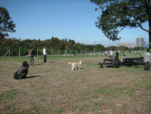 自然の色が多く残る都市公園。愛犬と一緒に、お散歩を楽しもう！