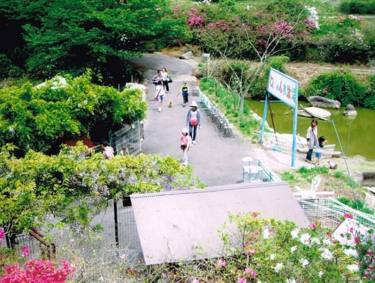 四季の花と木々の緑があふれる園内を、わんこと一緒にお散歩しよう！