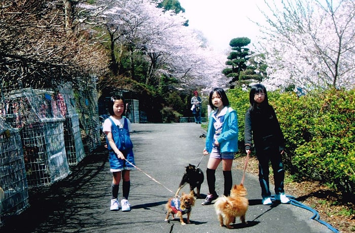 季節の花が咲く遊歩道をお散歩。記念撮影も忘れずに！