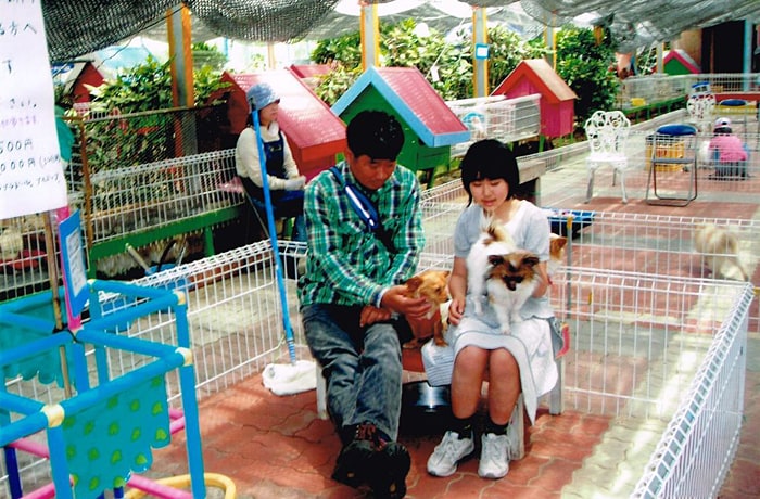 園内のふれあいコーナー。子供たちに大人気！