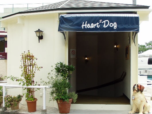 お店の入り口はこちら！駐車場から階段を降りると入口です。