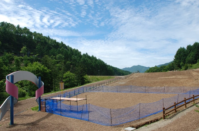 夏期は、ドッグランが登場します。