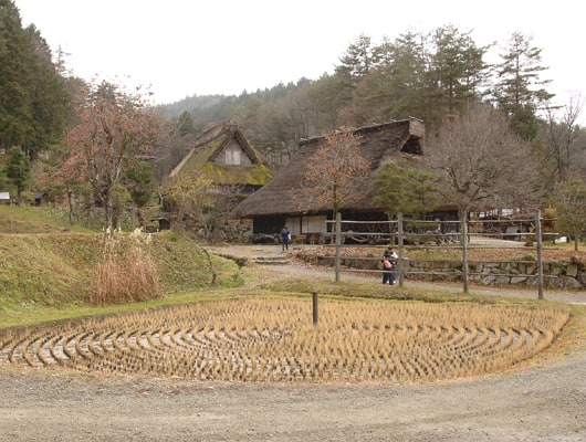 四季折々の風景を楽しめるのも魅力です。