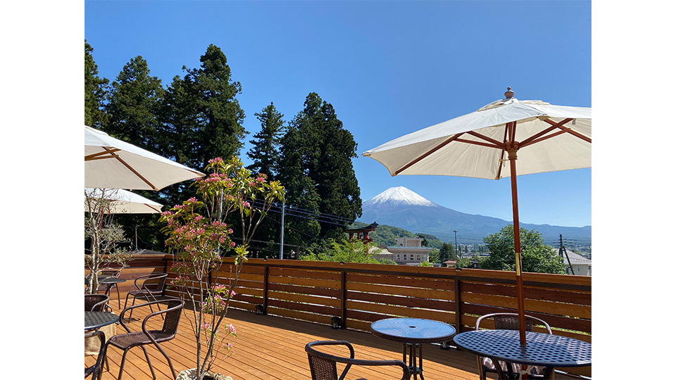 春の富士山と河口浅間神社の森と鳥居