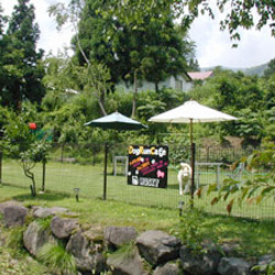 白馬乗鞍の深緑も楽しめるドッグラン