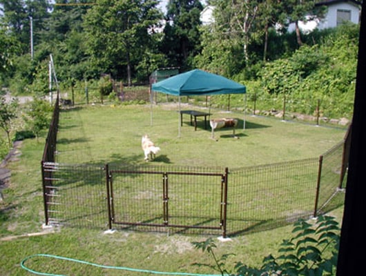 ドッグランの中でバーベキューを楽しむこともできます。わんこと一緒に盛り上がろう！