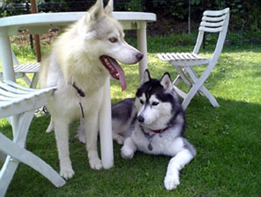 パラソルの下で休憩しながら、たくさん遊ぼう！