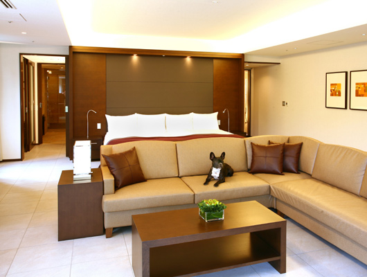 広々としたお部屋で、愛犬とゆったりくつろぎましょう。