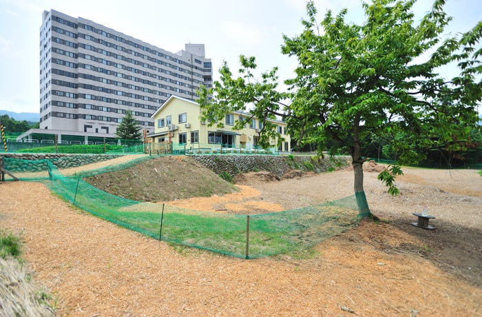 入り口からウッドチップが敷きつめられています。建物は黄色い外装ともみの木が目印。