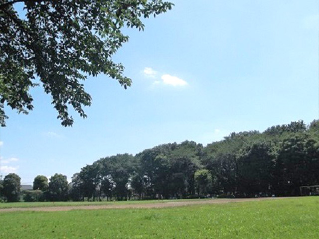 同じくタウンの近くにある富士見公園は緑が気持ちいい公園ですよ。