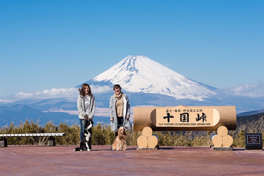 澄んだ空気と富士山を望む最高のロケーションですよ。