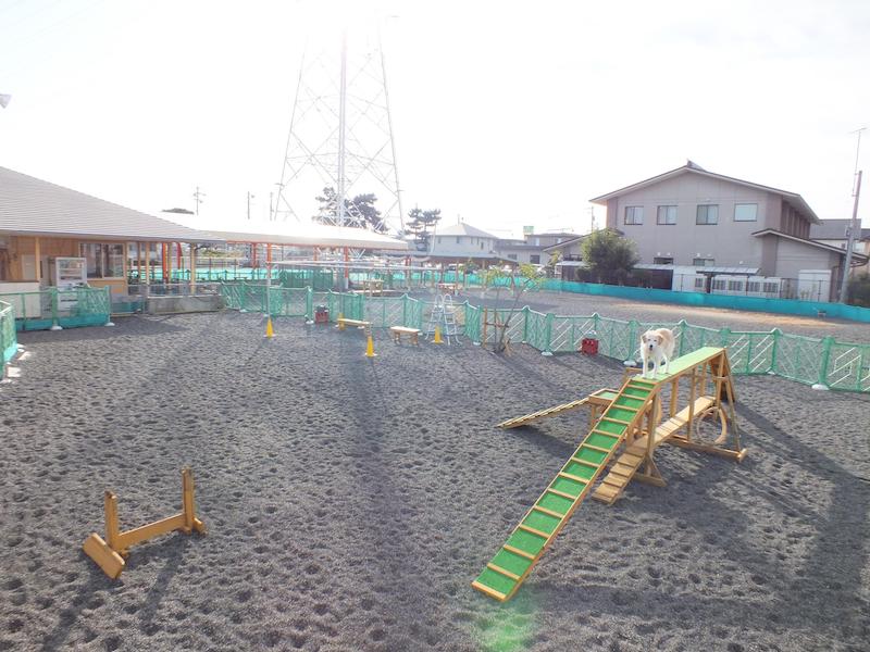 ナイター設備のある全3面の大型ドッグラン施設