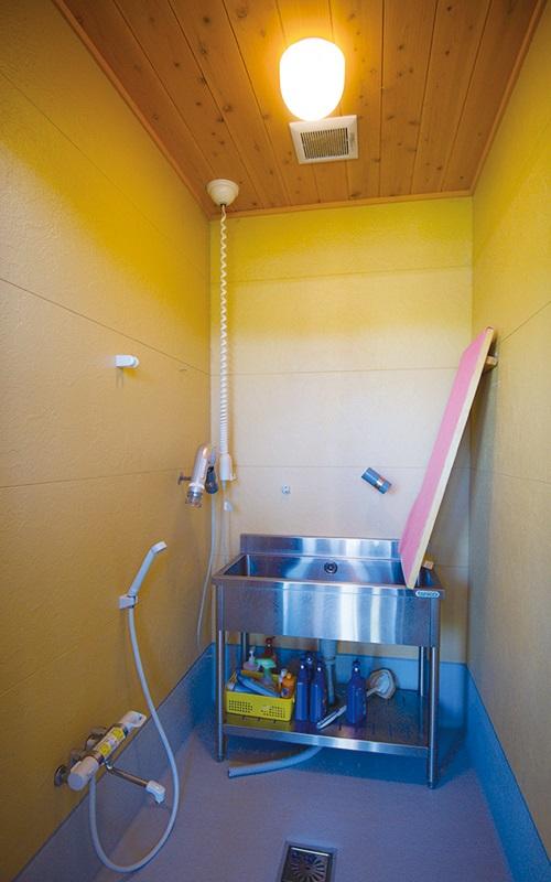 DogShower
