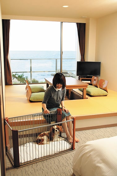 お部屋には、ケージを完備。使い慣れた敷物等を持参しましょう。