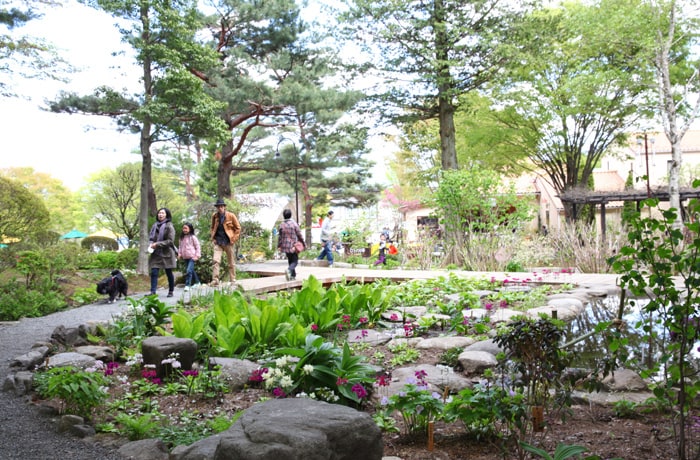 「山野草園」ではシーズンごとに美しい草花を楽しめます！