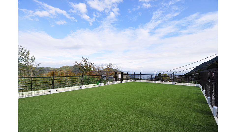 屋上ドッグラン。海を望む屋上にある人工芝のドッグラン