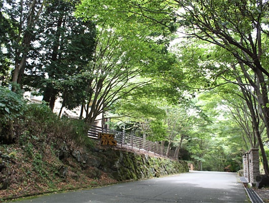 森に囲まれた、静かなホテル。お泊り初めてのわんこも大歓迎です！