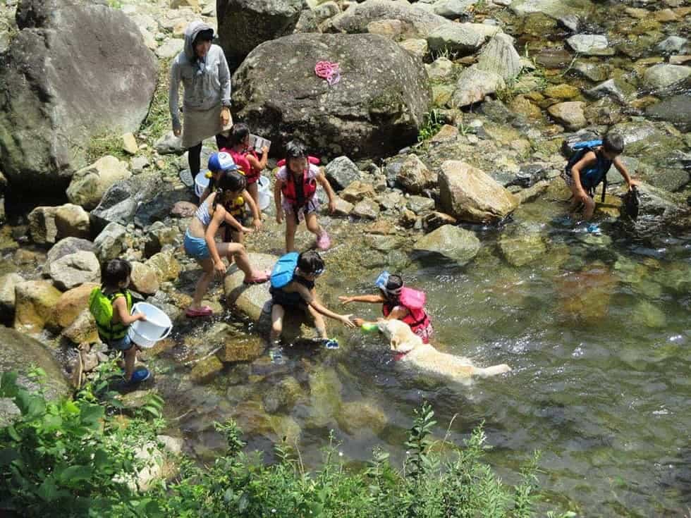 そばを流れる渓流では愛犬と一緒に水遊びもできる