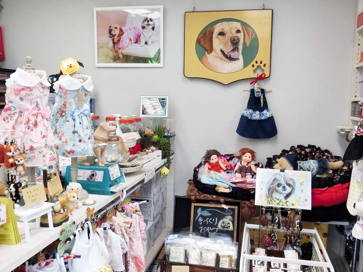 1点物のわんこ服から無添加フードまで、こだわりアイテム満載の専門店