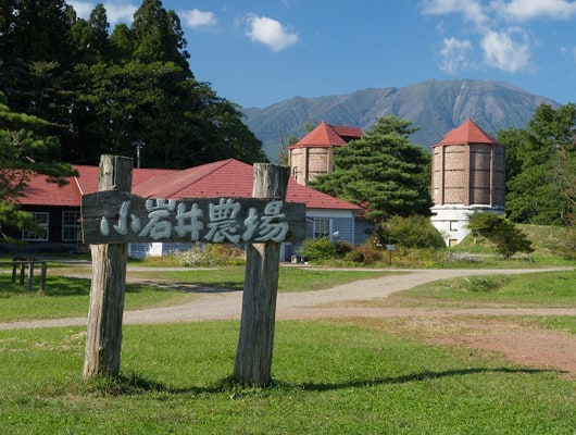 観光地「小岩井農場まきば園」で、わんことのんびり過ごそう！