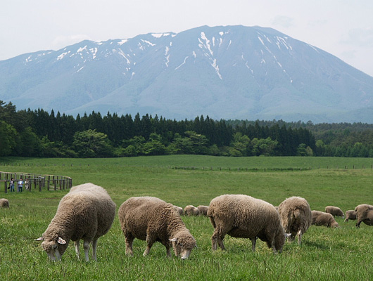 のどかな風景に、心も和みます。