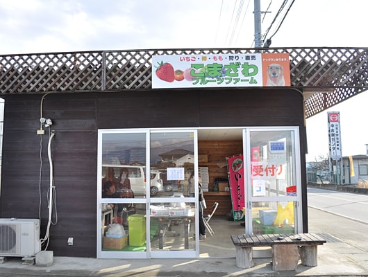 ドッグランで遊びながら、いちご狩りを楽しもう！