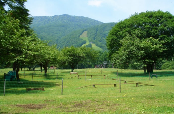 雄大な山々を眺めながら、ドッグランで遊ぼう！