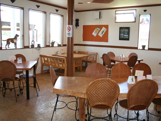 明るく、広々とした店内。こちらは1階席です。